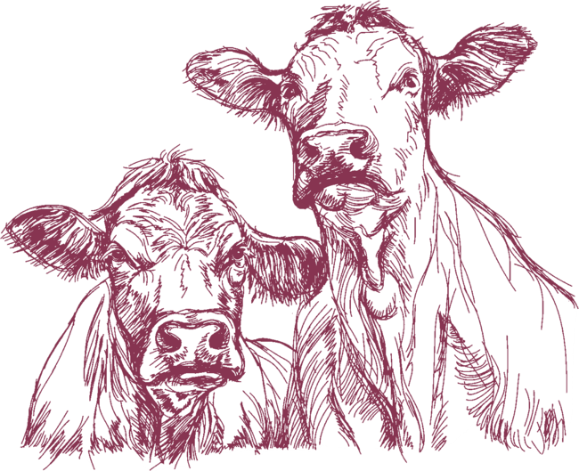 Produkte aus Kuhmilch o. Büffelmilch von der Chäs-Hütte in Meierskappel